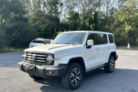 坦克300 2023款 城市版 2.0T 很有型