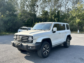 坦克300 2023款 城市版 2.0T 很有型