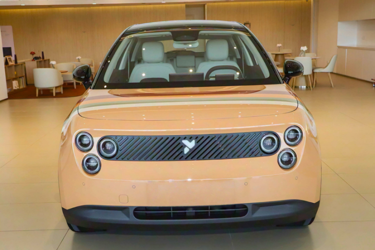 firefly萤火虫 2025款 游牧美拉德特别版车身外观6001