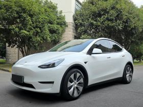 特斯拉 Model Y 2021款 长续航全轮驱动版
