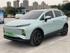 吉利几何E萤火虫 2022款 401KM 玲珑虎 5座