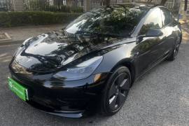 特斯拉 Model 3 2021款 标准续航后驱升级版 3D6