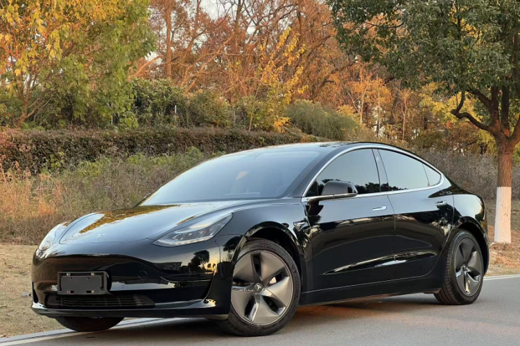 特斯拉 Model 3 2019款 标准续航后驱升级版局部细节36