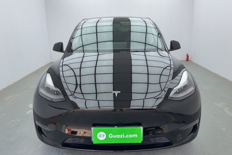 特斯拉 Model Y 2021款 标准续航后驱版车身外观6010