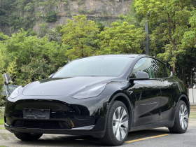 特斯拉 Model Y 2022款 长续航全轮驱动版