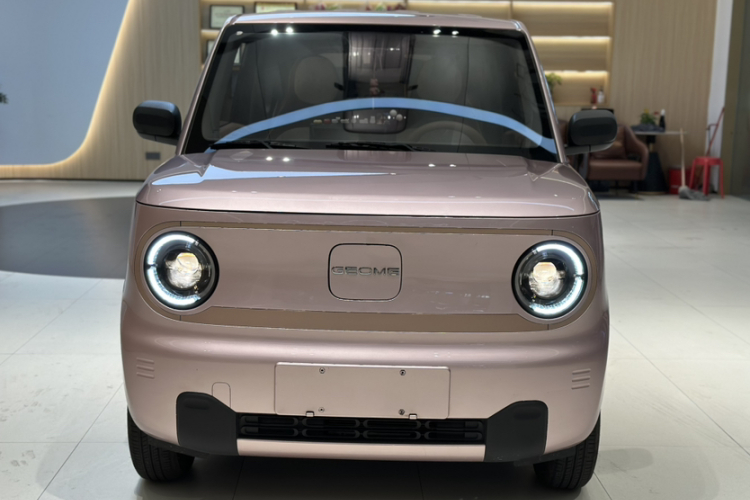 吉利银河 2024款 熊猫mini 200km 耐力熊车身外观6003