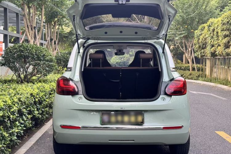 五菱汽车 五菱缤果 2023款 410km 灵犀尊享款车身外观6004