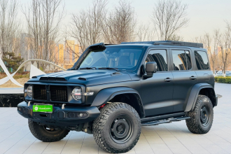 坦克300 2023款 2.0T 铁骑02