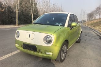 欧拉黑猫 2021款 301km 基础型