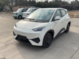 比亚迪 海鸥 2025款 智驾版 305km 活力版