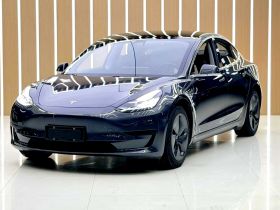 特斯拉 Model 3 2020款 改款 标准续航后驱升级版
