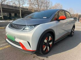 比亚迪 海豚 2021款 401km 骑士版