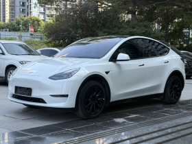 特斯拉 Model Y 2024款 长续航全轮驱动版