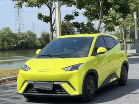 比亚迪 海鸥 2023款 活力版