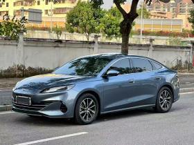 比亚迪 海豹06新能源 2024款 DM-i 120KM尊荣型