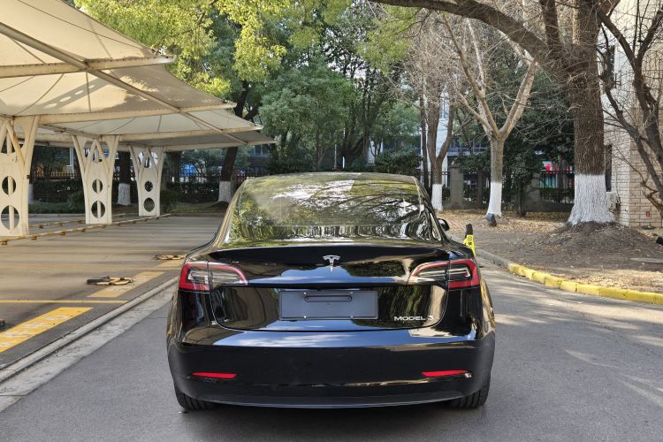 特斯拉 Model 3 2021款 标准续航后驱升级版车身外观6004