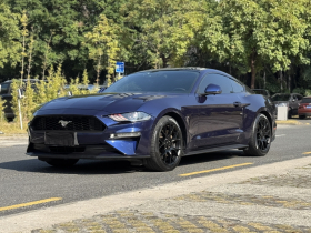 福特 Mustang 2019款 2.3L EcoBoost