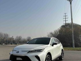 丰田 威飒 2023款 2.0L CVT两驱豪华版