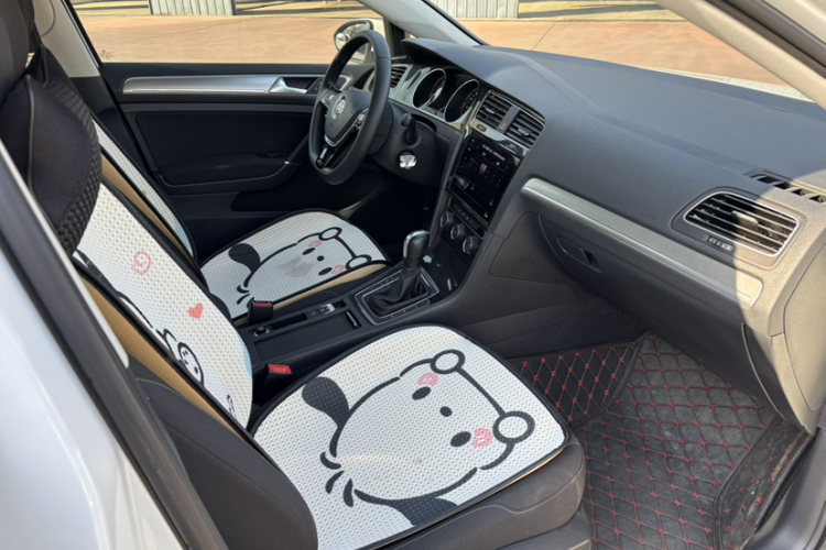 大众 高尔夫 2020款 200TSI DSG舒适进取版中控内饰7005