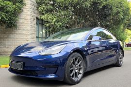 特斯拉 Model 3 2020款 标准续航后驱升级版
