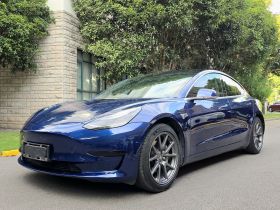 特斯拉 Model 3 2020款 标准续航后驱升级版