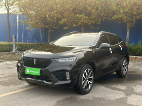 魏牌 VV7 2017款 2.0T 超豪型