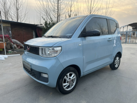 五菱汽车 宏光MINIEV 2020款 自在款 磷酸铁锂