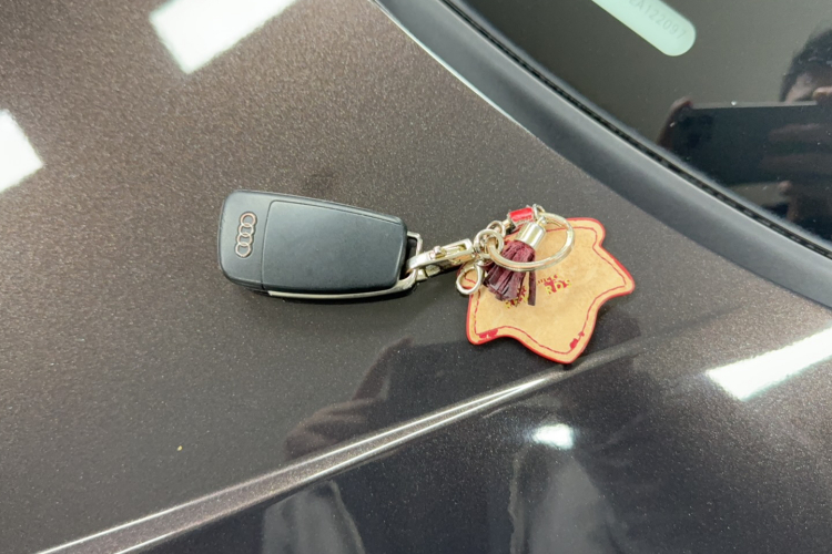 奥迪A3(进口) 2014款 Sportback 40 TFSI S line 豪华型中控内饰7001