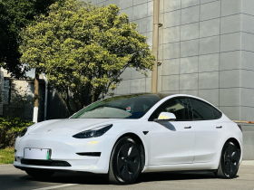 特斯拉 Model 3 2022款 后轮驱动版