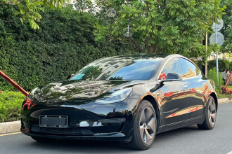 特斯拉 Model 3 2020款 改款 长续航后轮驱动版