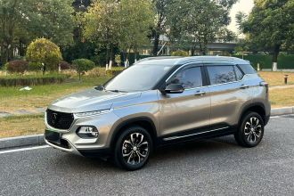 宝骏510 2019款 1.5L 自动尊享型 国V