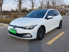 大众 高尔夫 2023款 280TSI DSG Pro