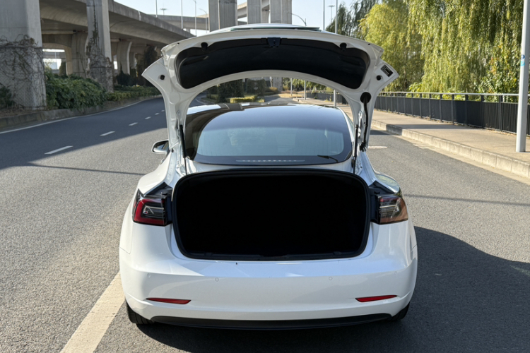 特斯拉 Model 3 2019款 标准续航后驱升级版局部细节9001