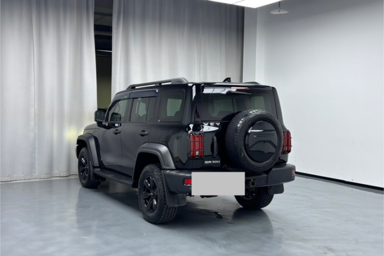 坦克300 2021款 越野版 2.0T 征服者车身外观6001