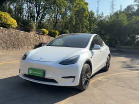 特斯拉 Model Y 2022款 后轮驱动版