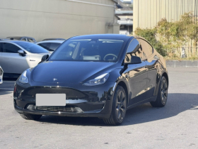 特斯拉 Model Y 2023款 长续航全轮驱动版