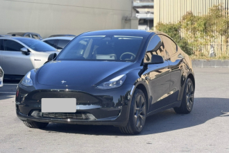 特斯拉 Model Y 2023款 长续航全轮驱动版