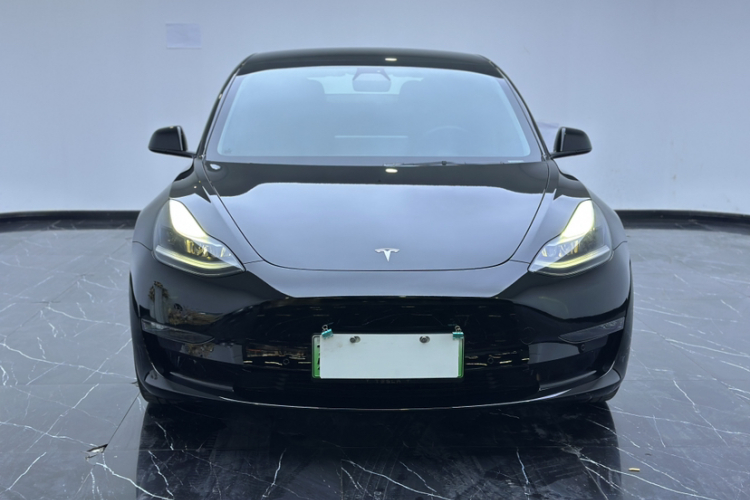特斯拉 Model 3 2021款 Performance高性能全轮驱动版车身外观6005