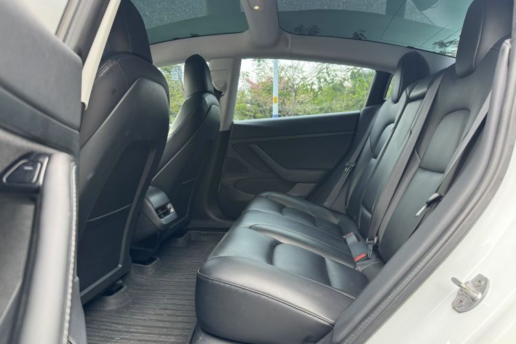 特斯拉 Model 3 2020款 改款 长续航后轮驱动版中控内饰7003