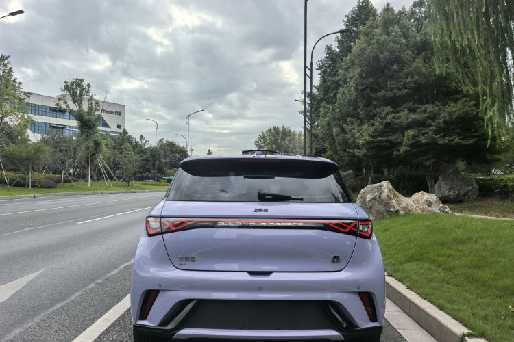 比亚迪 海豚 2023款 420km 自由版车身外观6004