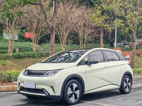 比亚迪 海豚 2023款 420km 时尚版