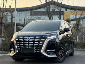 腾势D9 2022款 DM-i 970 四驱旗舰型