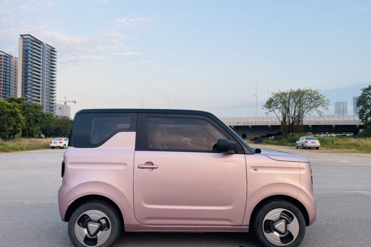 吉利银河 2023款 熊猫mini 200km 灵动熊车身外观6009