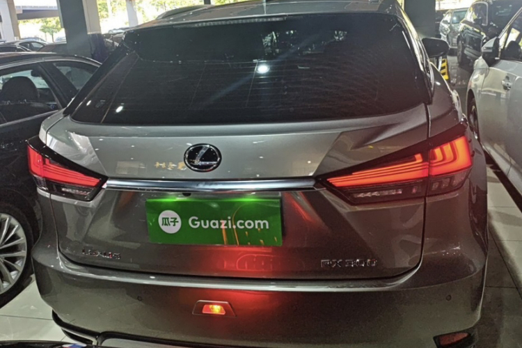 雷克萨斯RX 2020款 改款 300 两驱舒适版车身外观6004