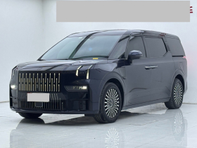 极氪009 2022款 WE版