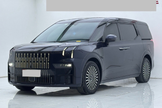 极氪009 2022款 WE版