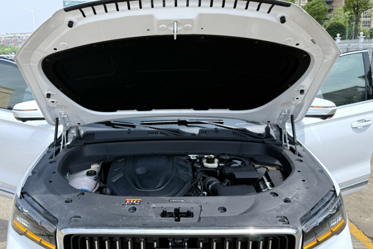 吉利汽车 星越L 2024款 2.0TD 高功自动两驱云起版局部细节9001