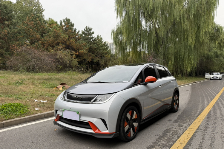 比亚迪 海豚 2021款 401km 骑士版局部细节57