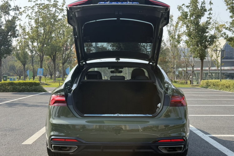 奥迪A5 2023款 Sportback 40 TFSI quattro 豪华动感型局部细节23