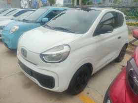 荣威 科莱威CLEVER 2021款 302km全能版